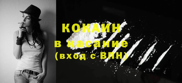 шишки Алзамай