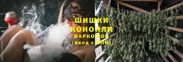 шишки Алзамай
