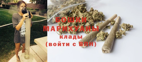 шишки Алзамай
