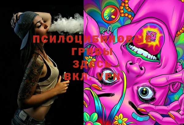 шишки Алзамай