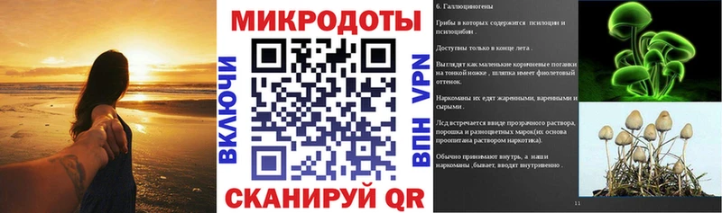 Псилоцибиновые грибы Psilocybine cubensis  купить наркоту  Долинск 